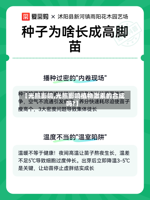 【光照影响,光照影响植物激素的合成吗?】-第1张图片