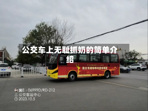 公交车上无耻抓奶的简单介绍-第2张图片