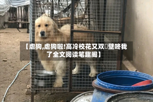 【虐狗,虐狗啦!高冷校花又双叒壁咚我了全文阅读笔趣阁】-第3张图片