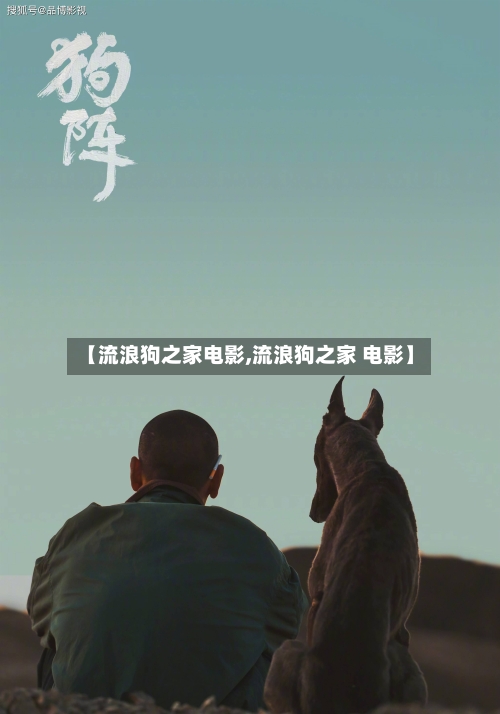 【流浪狗之家电影,流浪狗之家 电影】-第3张图片