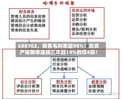 688302，销售毛利率超98%！总资产报酬率连续三年超30%的仅4股！-第1张图片