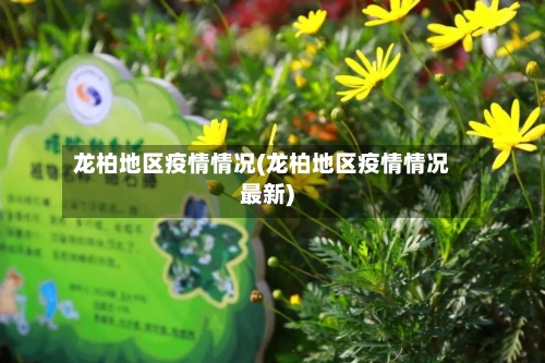龙柏地区疫情情况(龙柏地区疫情情况最新)-第2张图片