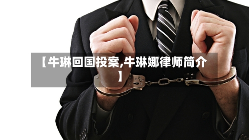 【牛琳回国投案,牛琳娜律师简介】-第2张图片