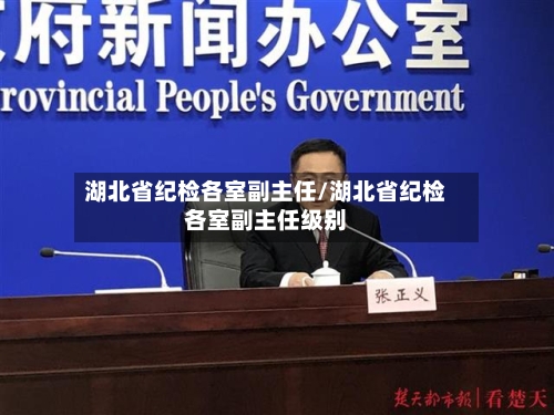 湖北省纪检各室副主任/湖北省纪检各室副主任级别-第1张图片