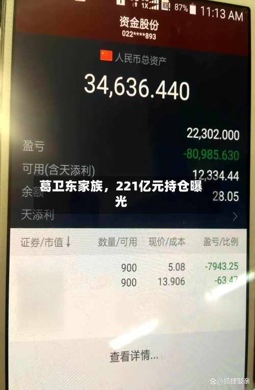 葛卫东家族，221亿元持仓曝光-第1张图片