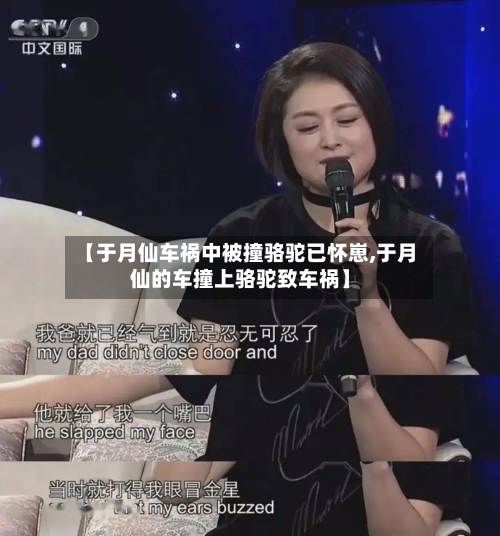 【于月仙车祸中被撞骆驼已怀崽,于月仙的车撞上骆驼致车祸】-第1张图片