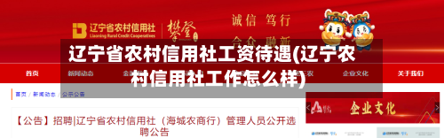 辽宁省农村信用社工资待遇(辽宁农村信用社工作怎么样)-第3张图片