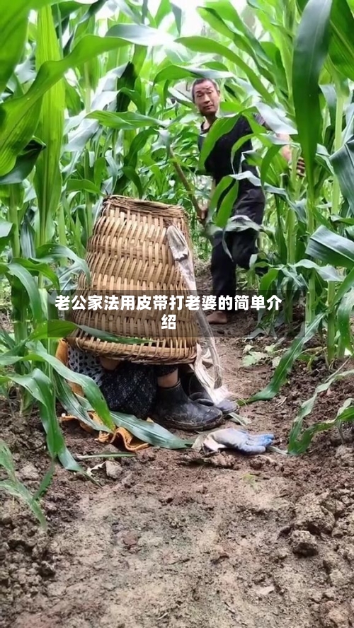 老公家法用皮带打老婆的简单介绍-第3张图片