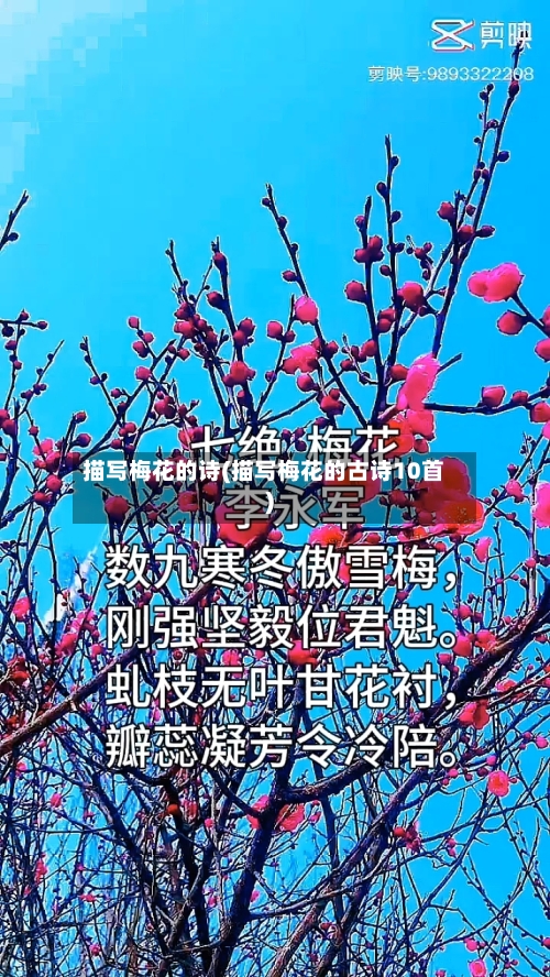 描写梅花的诗(描写梅花的古诗10首)-第1张图片