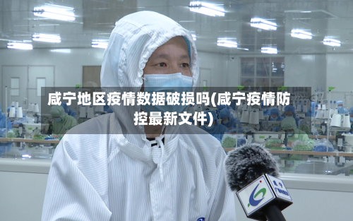 咸宁地区疫情数据破损吗(咸宁疫情防控最新文件)-第1张图片