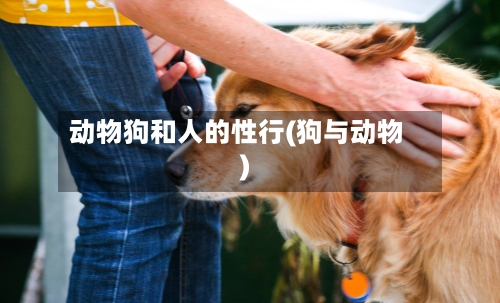 动物狗和人的性行(狗与动物)-第1张图片