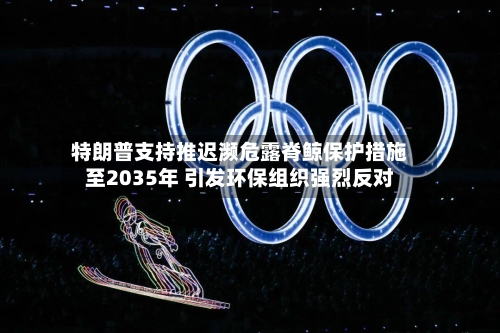特朗普支持推迟濒危露脊鲸保护措施至2035年 引发环保组织强烈反对-第2张图片