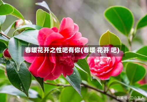春暖花开之性吧有你(春暖 花开 吧)-第1张图片