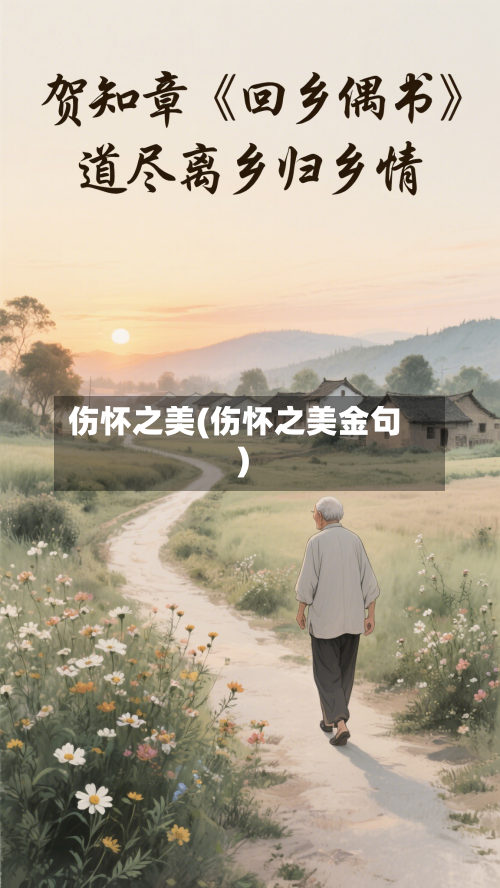伤怀之美(伤怀之美金句)-第1张图片