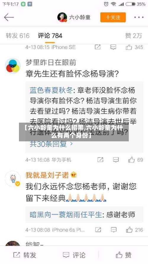 【六小龄童为什么招黑,六小龄童为什么有两个身份】-第3张图片