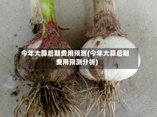 今年大蒜后期费用预测(今年大蒜后期费用预测分析)-第2张图片