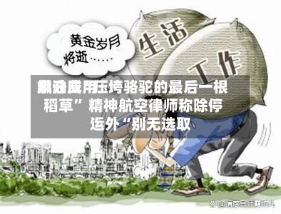 燃油费用飙升成“压垮骆驼的最后一根稻草” 精神航空律师称除停运外“别无选取”-第1张图片