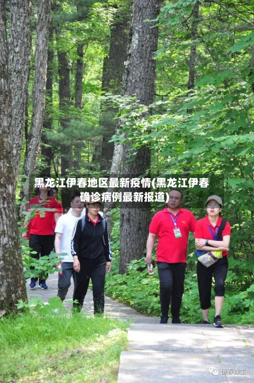 黑龙江伊春地区最新疫情(黑龙江伊春确诊病例最新报道)-第1张图片
