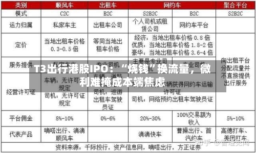 T3出行港股IPO：“烧钱”换流量	，微利难掩成本端焦虑-第2张图片