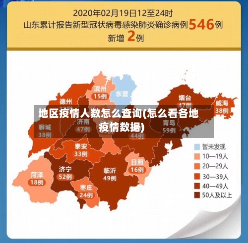 地区疫情人数怎么查询(怎么看各地疫情数据)-第1张图片