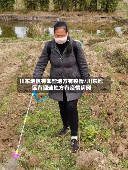 川东地区有哪些地方有疫情/川东地区有哪些地方有疫情病例-第1张图片