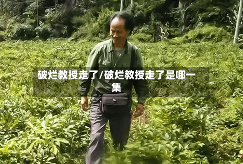破烂教授走了/破烂教授走了是哪一集-第2张图片