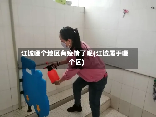 江城哪个地区有疫情了呢(江城属于哪个区)-第1张图片