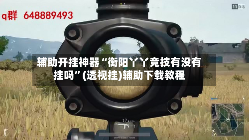 辅助开挂神器“衡阳丫丫竞技有没有挂吗”(透视挂)辅助下载教程-第1张图片