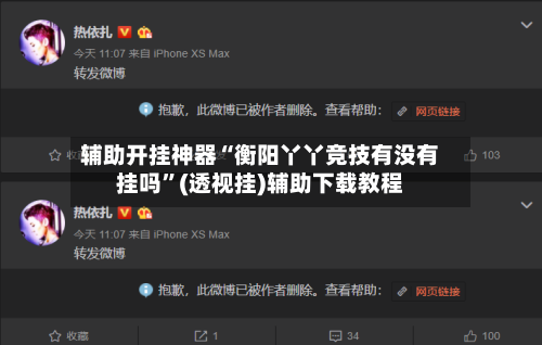 辅助开挂神器“衡阳丫丫竞技有没有挂吗”(透视挂)辅助下载教程-第2张图片
