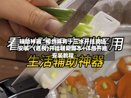 辅助神器“相约麻将十三水开挂现场安装”(透视)开挂辅助脚本+详细开挂安装教程-第1张图片