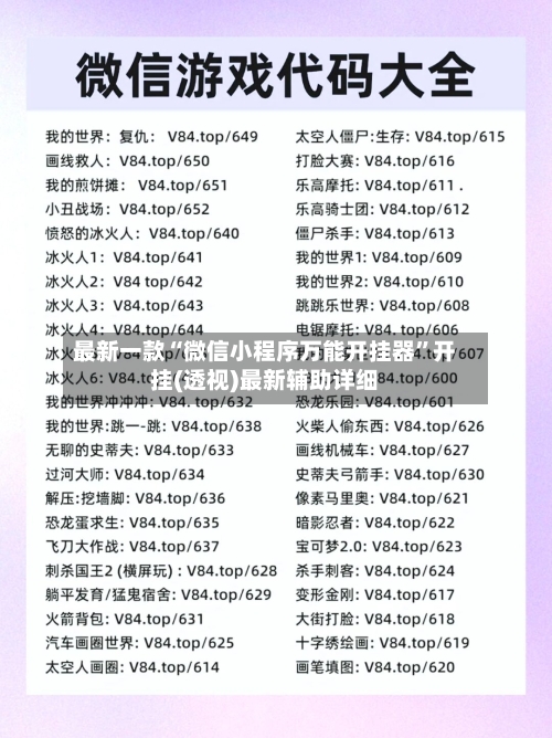 最新一款“微信小程序万能开挂器”开挂(透视)最新辅助详细-第1张图片