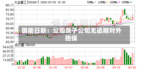 国能日新：公司及子公司无逾期对外担保-第1张图片