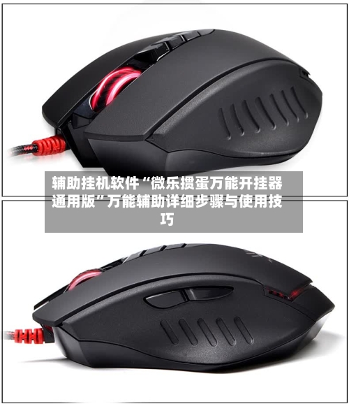 辅助挂机软件“微乐掼蛋万能开挂器通用版”万能辅助详细步骤与使用技巧-第1张图片