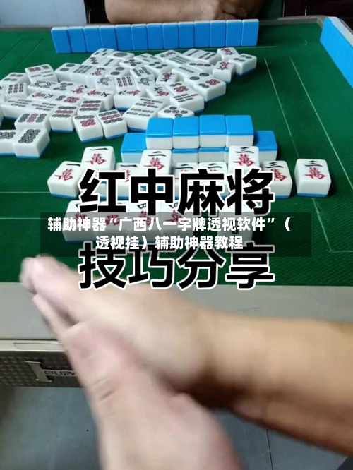 辅助神器“广西八一字牌透视软件”（透视挂）辅助神器教程-第1张图片