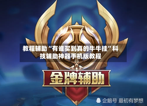 教程辅助“有谁买到真的牛牛挂”科技辅助神器手机版教程-第3张图片