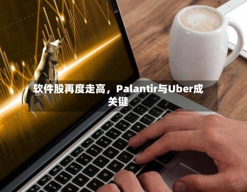 软件股再度走高，Palantir与Uber成关键-第1张图片