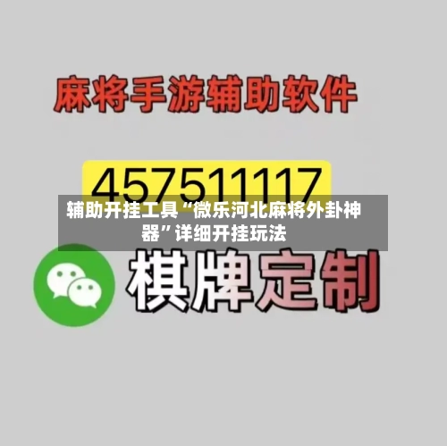 辅助开挂工具“微乐河北麻将外卦神器”详细开挂玩法-第2张图片