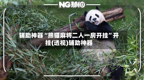 辅助神器“熊猫麻将二人一房开挂”开挂(透视)辅助神器-第1张图片
