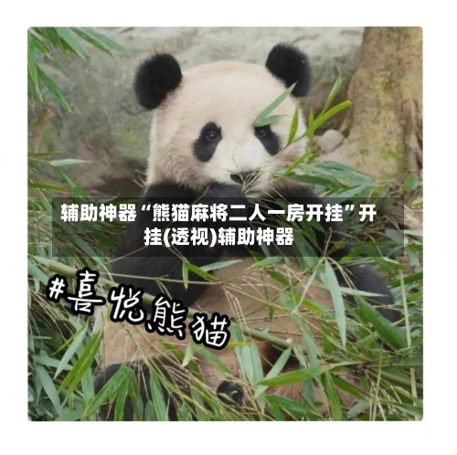 辅助神器“熊猫麻将二人一房开挂”开挂(透视)辅助神器-第3张图片