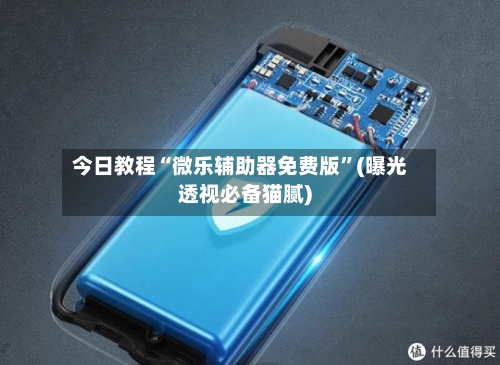 今日教程“微乐辅助器免费版”(曝光透视必备猫腻)-第2张图片