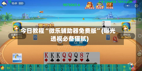 今日教程“微乐辅助器免费版	”(曝光透视必备猫腻)-第1张图片