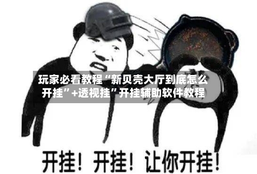 玩家必看教程“新贝壳大厅到底怎么开挂	”+透视挂”开挂辅助软件教程-第2张图片