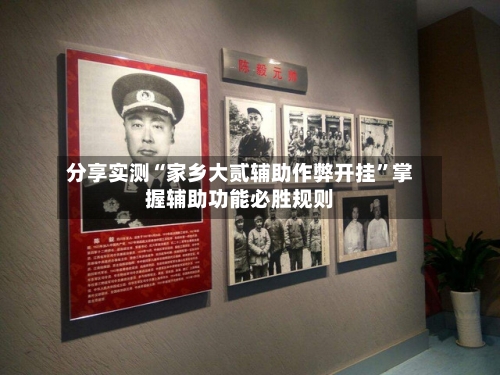 分享实测“家乡大贰辅助作弊开挂”掌握辅助功能必胜规则-第3张图片