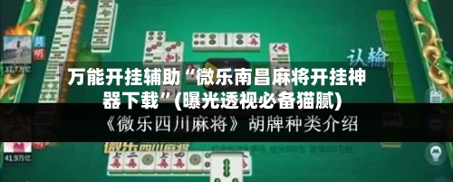 万能开挂辅助“微乐南昌麻将开挂神器下载”(曝光透视必备猫腻)-第1张图片