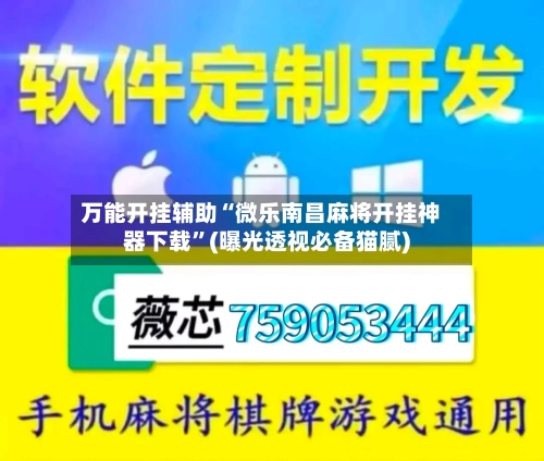 万能开挂辅助“微乐南昌麻将开挂神器下载”(曝光透视必备猫腻)-第3张图片