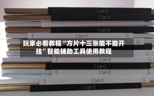 玩家必看教程“方片十三张能不能开挂	”智能辅助工具使用教程-第2张图片