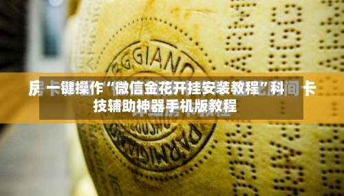 一键操作“微信金花开挂安装教程”科技辅助神器手机版教程-第2张图片