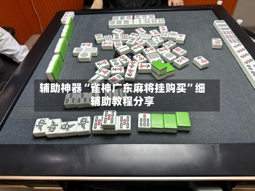 辅助神器“雀神广东麻将挂购买”细辅助教程分享-第3张图片