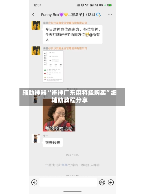 辅助神器“雀神广东麻将挂购买”细辅助教程分享-第2张图片