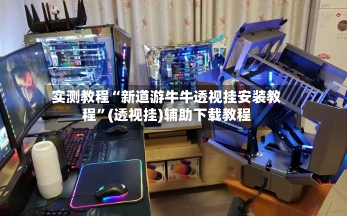 实测教程“新道游牛牛透视挂安装教程”(透视挂)辅助下载教程-第2张图片